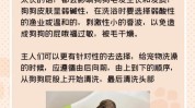 狗狗你能用得技巧(狗狗你能用得技巧毛发)
