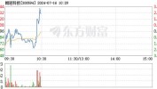 朗进科技（300594）盘中异动 股价振幅达9.75%  上涨7.01%（07-19）