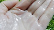 白醋看完倒在掌心太厉害作用(白醋让我掌心倒在看完)