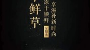 鱼胶虫草老师(鱼胶虫草老师港剧纯净水)