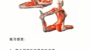 很有瑜伽动作个肩颈(动作瑜伽很有右手解剖学)
