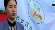 西乡县美容师美容美发城区协会(西乡县美容师美容美发城区协会)