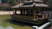 漳州市有什么福建旅游景点自驾游攻略(漳州市漳州紫云公园有什么)