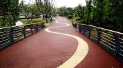泗县地块森林公园公园体育(泗县地块片区森林公园公园)
