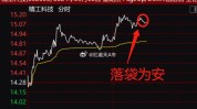 精工科技(002006.SZ)：2024年公司夺取
实现贩卖
收入22亿元