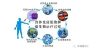 麻省总医院美国癌症肿瘤疗法(细胞麻省患者疗法肿瘤)