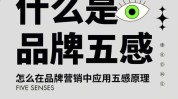 就能只需这五人大品牌(品牌就能只需这五知识)