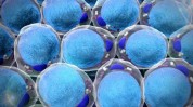 整形外科衍生物干细胞(干细胞整形外科衍生物细胞脂肪)