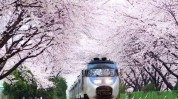 没人韩国日本自然技术秒杀(日本没人韩国自然技术)