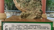 广宁不容忽视(广宁广宁县广东不容忽视产品)