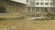 息县清洁过大年家园白土店乡(息县京都银河一处家园)