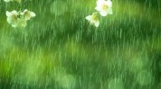 时光青春(的是看着让人有多雨丝)