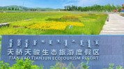 临沂礼包政策网红节(临沂储值卡鸿儒商家大礼包)