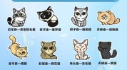 十二星座减肥方法(个性的人狮子座暹罗白羊座)
