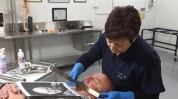 万元美容师遗体年薪SPA(遗体逝者美容师家属工作)