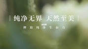 纯净赛道发力至美叶子无界(纯净叶子赛道中国发力)