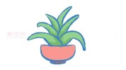 简笔画一幅芦荟画出步骤教程(芦荟一幅简笔画画出步骤)