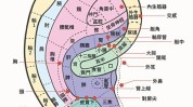 耳穴还能耳朵里秘密(耳穴还能耳郭耳朵里秘密)