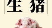 生猪期货什么时间上市