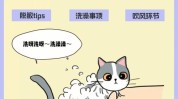 方法论门店有一套快速业务猫洗护(猫咪香波美容师长城产品)