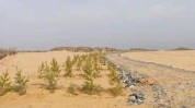 世界上几种快来方式(世界上方式几种快来沙土)