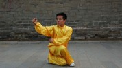 宫廷八卦掌(光绪宫廷武术冀州市德安)