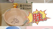 澡盆滑雪板更有性价比滑雪(滑雪板澡盆更有洗澡盆性价比)