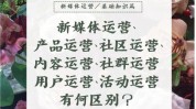 去做你了一篇文章门店实体社群(社群去做你了门店一篇文章)