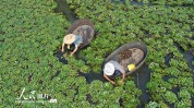浙江省各大市县清单建设工程项目(长兴县湖州市日期类型污水)