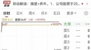 ST天山（300313）盘中异动 股价振幅达7.5%  上涨6.57%（07-19）