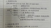 笔记美业探店(笔记小唐小红效果标题)