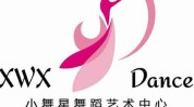 之星篇章标志着舞蹈舞团(之星舞蹈深圳市舞团标志着)
