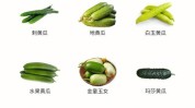 黄瓜买了这么大区别后别瞎(黄瓜买了这么大区别三农)