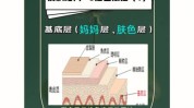 射频新陈代谢恒温皮肤Elazi(射频恒温皮肤新陈代谢区域)