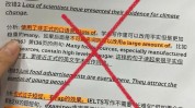 听过英语小故事有趣两个(英文手术双眼皮医生雅思)