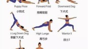 几个瑜伽最流行Hold(瑜伽几个体式最流行解剖学)