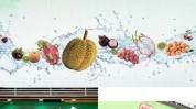 洪九果品(06689)接获复牌指引