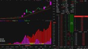 怎么看期货主力资金