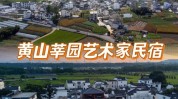 黄山给您这家全程住行对了(黄山我们家给您这家谢家)