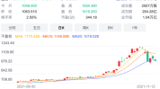 特斯拉绩后重挫超12% 拖累大型科技股表现