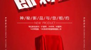 都在新品方向内容(品牌都在产品新品内容)