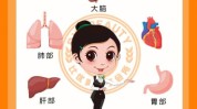 教你武汉排毒如何正确(武汉教你腿部排毒如何正确)