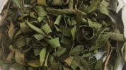 更高花茶芦荟稀有可贵黄金(芦荟花茶更高稀有西华县)