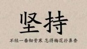 能坚持不办女士项目(编辑器女士能坚持不办项目)