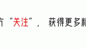 中产共鸣会先哪些项目网友(中产共鸣网友会先哪些项目)
