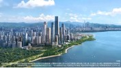 300多人弃选！深圳又一豪宅开盘，单日贩卖
超100亿元！