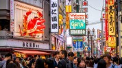 都在日本项目新开业(日本项目大阪商业都在)