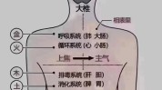 就会门脸经络功能养益五官(胸腹门脸功能经络就会)