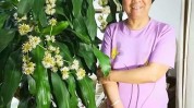 花了老板(孙女花了记者老板工作人员)