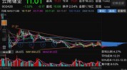 云南锗业（002428）：7月11日10时32分触及涨停板